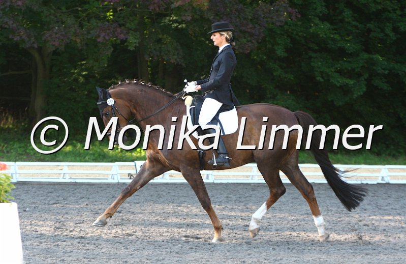 009M6025_Del Piero_Dressurpf_M_e.jpg